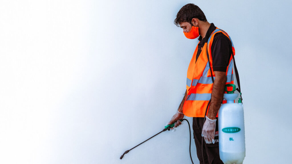 Pest Control Services Near you